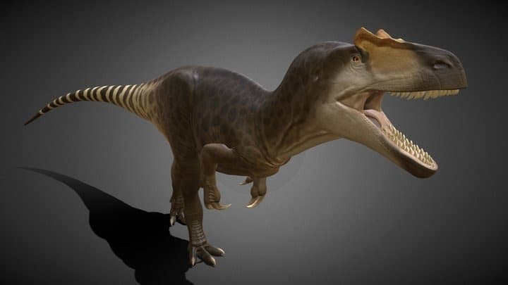 Prehistory has happened before - Dinosaur reconstruction