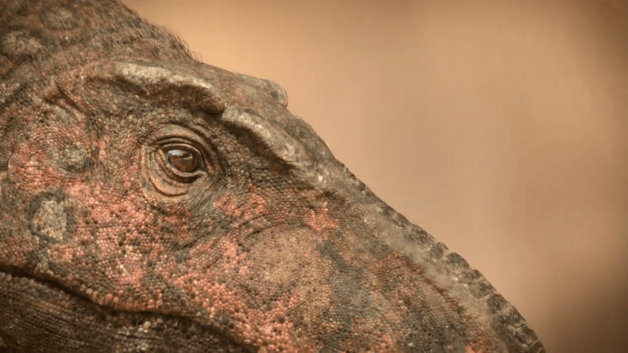 3D CGI Featurette - Reconstructing fossils through 3D CGI