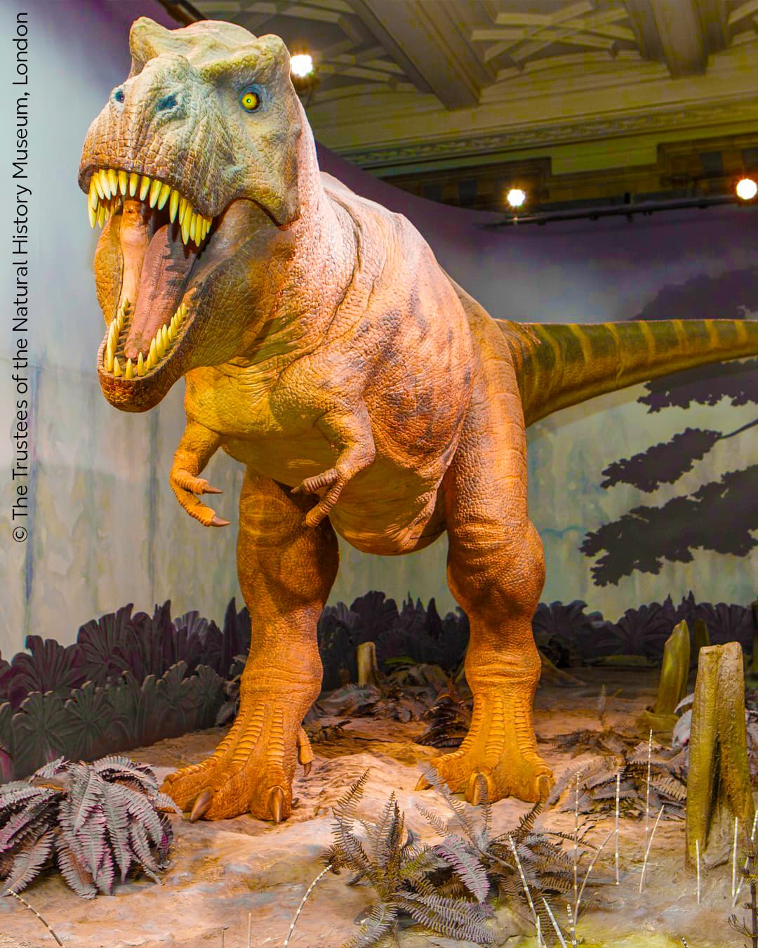 Reconstructing Yesterday to Save Tomorrow - T. Rex NHM London