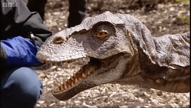 Placing it in the World